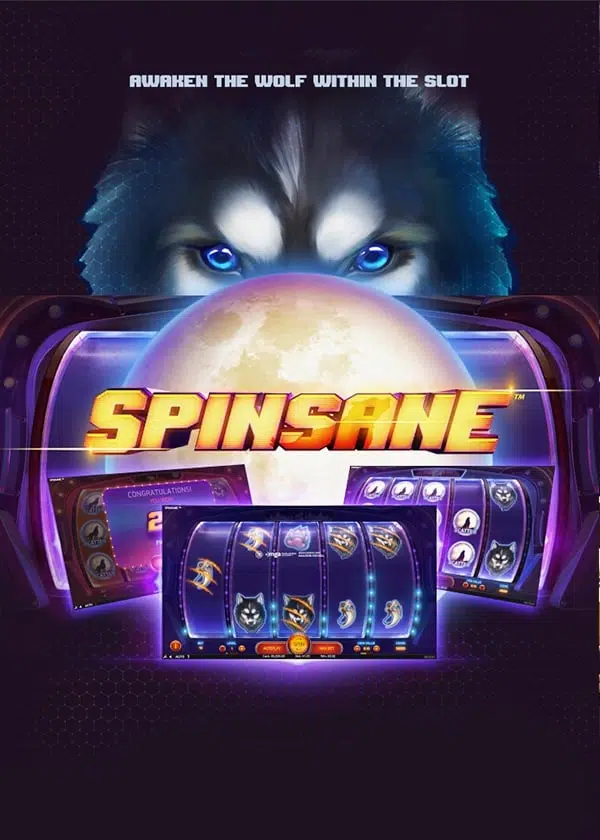 Spinsane Logo