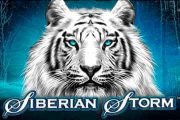 Siberian Storm Logo